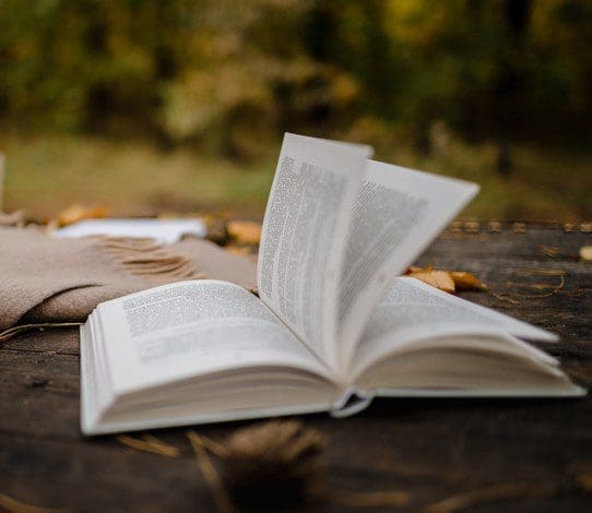 Book pages flipping in autumn breeze
